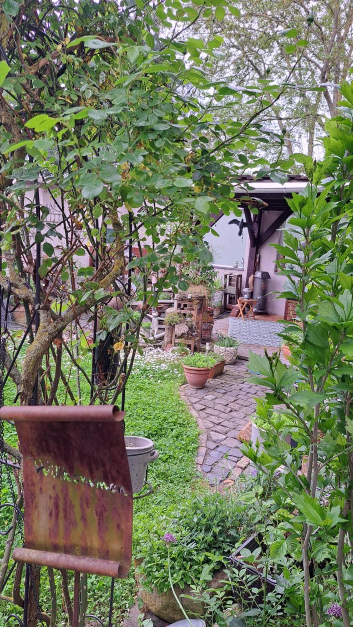Ferienwohnung Vogt Mertloch Exterior photo